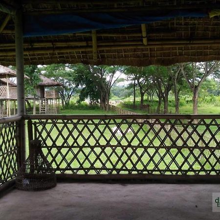 Dhansiri Eco Camp Bokākhāt エクステリア 写真