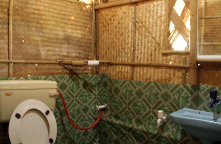 Dhansiri Eco Camp Bokākhāt エクステリア 写真