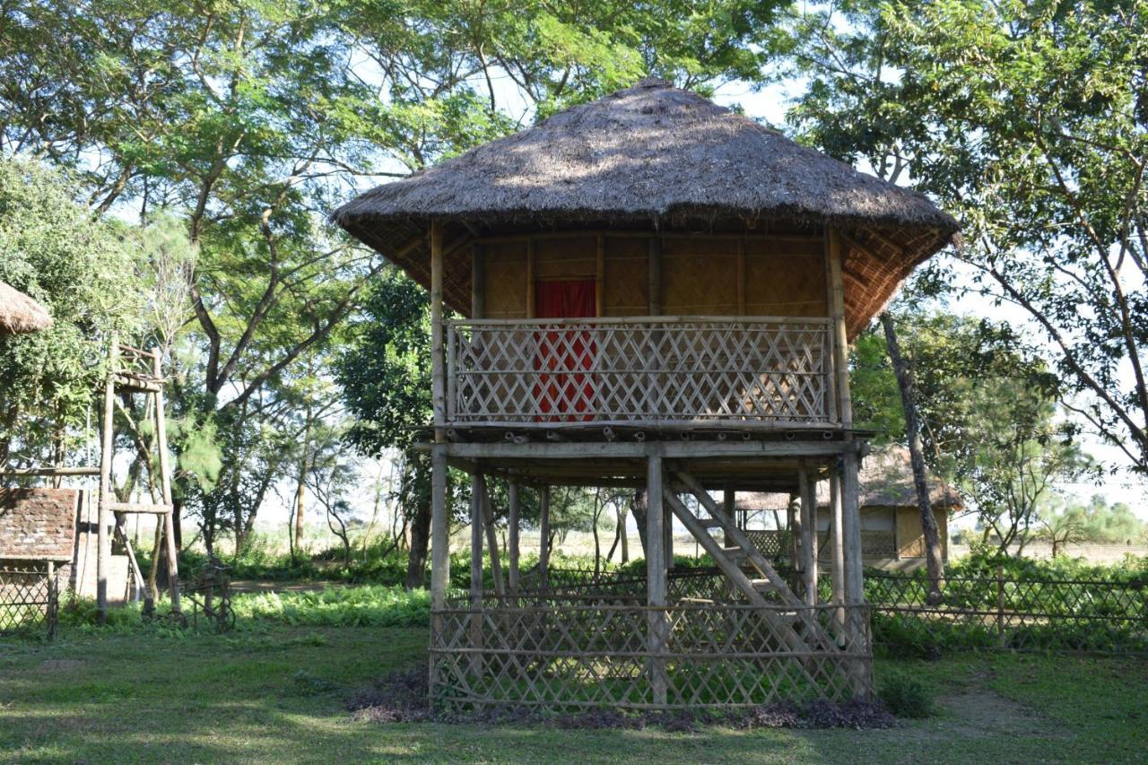 Dhansiri Eco Camp Bokākhāt エクステリア 写真