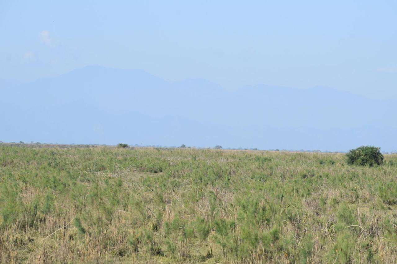 Dhansiri Eco Camp Bokākhāt エクステリア 写真